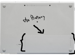 Picture 1.png