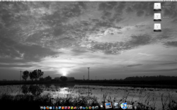 Picture 1.png