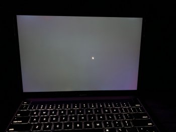 IMG_0410.jpeg