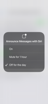 Siri ios 14.PNG