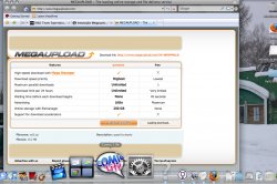 MegaUpload.jpg