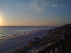 IMG_0041.jpg