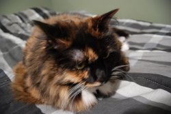 DSC_0013.JPG