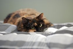 DSC_0092.JPG