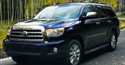 2008-Sequoia-3.jpg