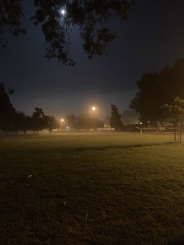 BC584F4D-3B71-42D9-85DE-D734101C854C.jpeg