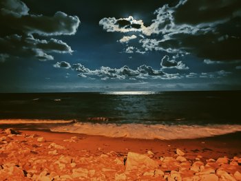 6AF28A5D-D7CC-4432-A6F4-7746802947B3.jpeg
