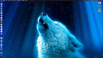 Screen Shot 2020-08-12 at 2.36.59 PM.png