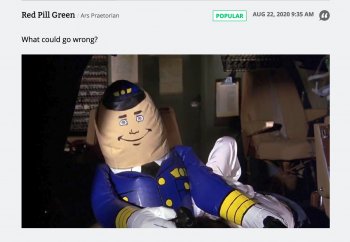 what could go wrong?.jpg