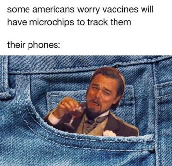 IMG_7784.jpeg