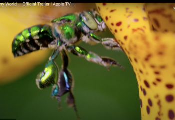 Screen Shot 2020-09-10 at 13.50.00.png