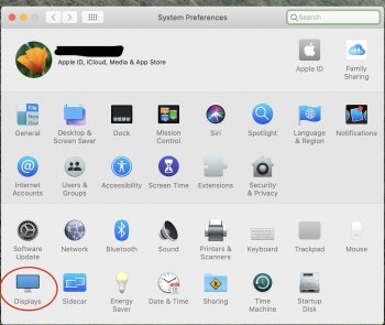 Screen Shot 2020-09-13 at 10.07.59 PM.jpg