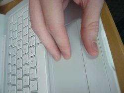 P1000200.jpg