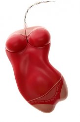 the-body-mouse.jpg