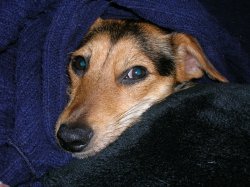 DSCN0365.JPG