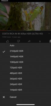 64D3B44B-0660-4314-A9E1-523FFD6C66C5.jpeg