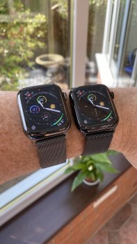IMG_2895.jpeg