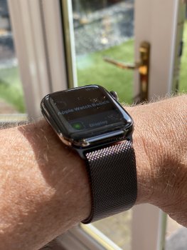IMG_2886.jpeg
