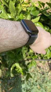 IMG_5390.jpeg