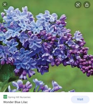 167BA132-36EB-4A91-8B2C-71D1AA40751A.jpeg
