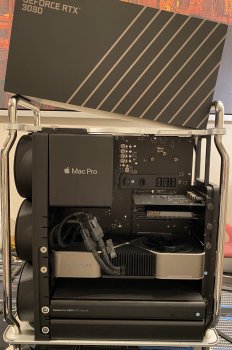IMG_8388.JPG
