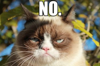 grumpy-cat-saying-no (3).jpg