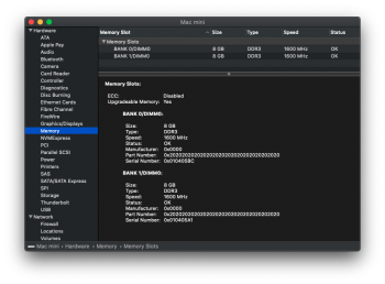 Mac-mini_RAM_SysInfo.png Mac-mini_RAM_SysInfo.png