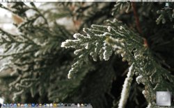 Screencapture 1.jpg