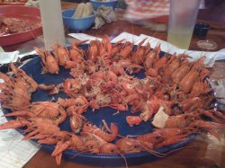 IMG_0002.jpg