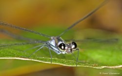 On your marks get set.jpg