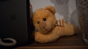 IMG_03843.jpg