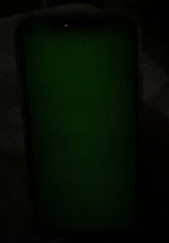 IMG_3342.jpeg