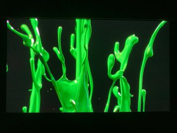 IMG_2384.jpg