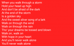 LivBackGroup copy.png