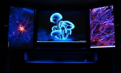desktop01.jpg