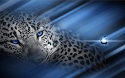 Leopard OS X 2.jpg