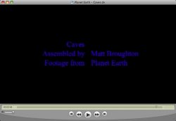 QuickTime%20PlayerScreenSnapz002.jpg