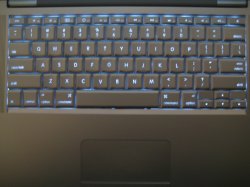 IMG_1460.jpg