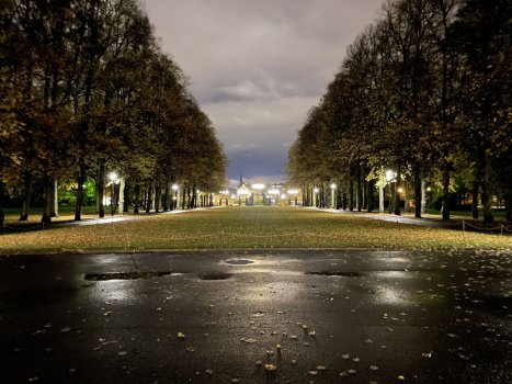 IMG_2735.jpg