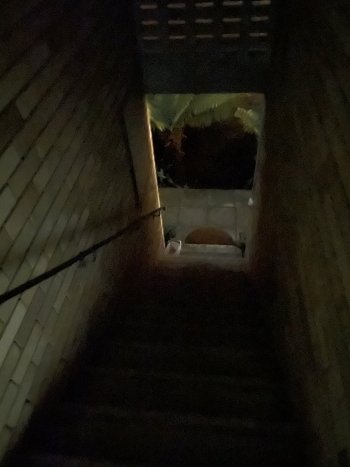 D6BE0C24-6193-4067-920C-D38491E2C335.jpeg