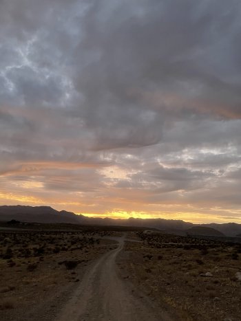 1336BAC6-6C57-4F45-8DF5-52075C921882.jpeg