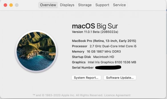 Screen Shot 2020-11-08 at 3.27.38 pm.jpg