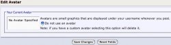avatar.jpg