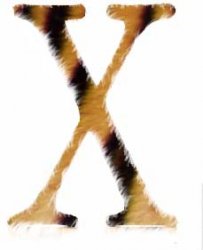 osx-jaguar.jpg