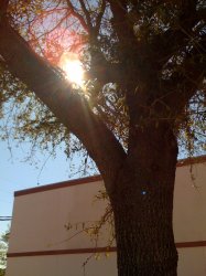 IMG_0217.JPG
