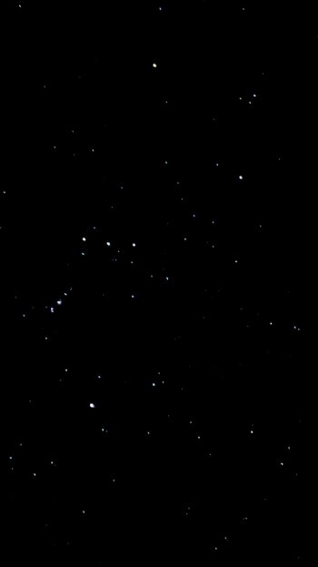 09008D2A-96F5-4518-A6EB-D3A93A4C9207.jpeg