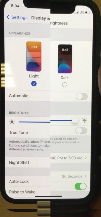 12 Mini Comparison (mini v mini 4).jpg