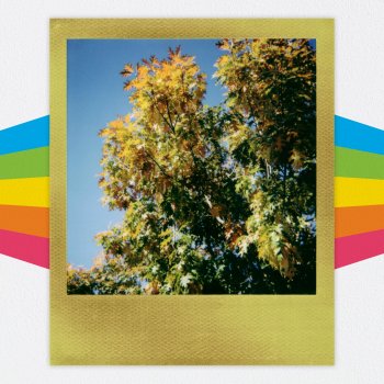 right tree4.jpg