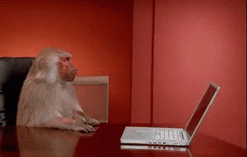 MonkeyLaptop.gif