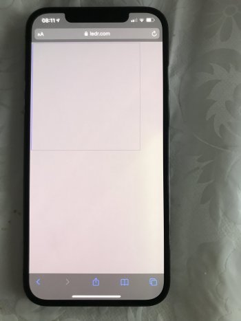 20201115_081131669_iOS.jpg